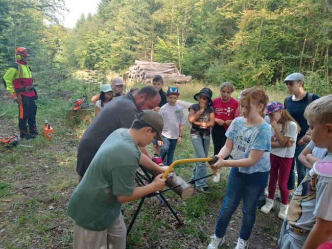 4b8ce397-6c28-446b-b837-4f5a59780564