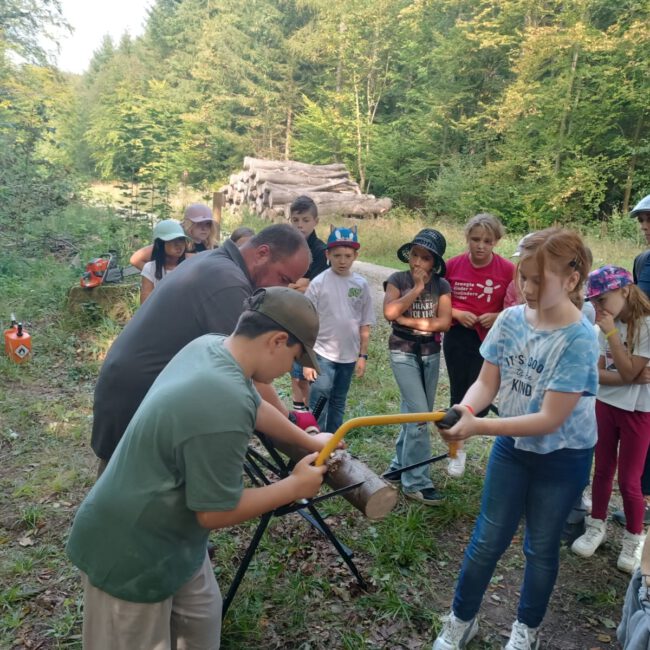 4b8ce397-6c28-446b-b837-4f5a59780564